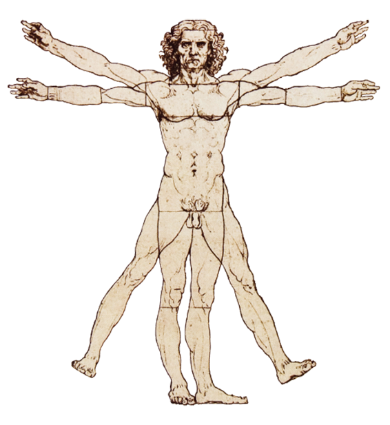 Vitruvian Man